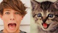 /album/animali-e-one-direction-/a1d-animali-03-1-jpg/